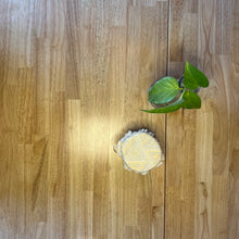 Load image into Gallery viewer, Mini "Bread Bonnet" Mason Jar Cover | 3" - 4.25"