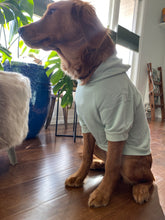 Load image into Gallery viewer, Mint Hoodie Pup Sweatshirt

