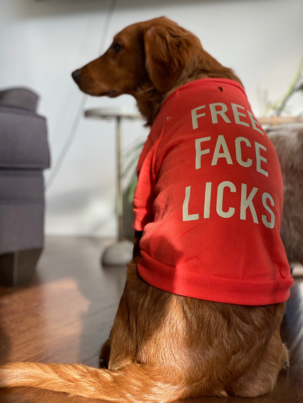 Free Face Licks Pup Sweatshirt