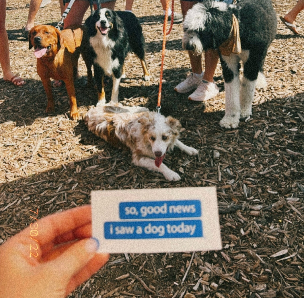 Sticker - so, good news i saw a dog today